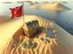 evaluating-icos-red-flags-and-golden-opportunities