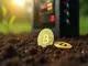 james-howells-tokenizes-8-000-lost-bitcoins-as-market-eyes-etf-outflows-and-trump-order